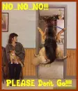 Dog at the Vet- NO Please Don't Go!!!