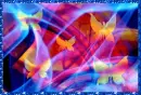 BUTTERFLY--MAGIC