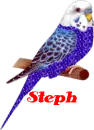 STEPH--BLUE BIRD