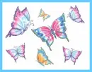 BUTTERFLIES