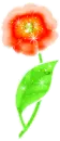 RED FLOWER