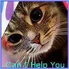 can i help you