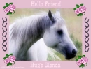Glenda