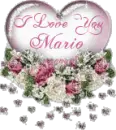 I love you Mario