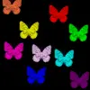 World of Butterflies