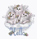 Hello Kittens
