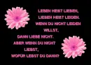 Love - life - sorrow