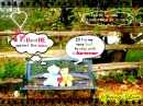 SPRING LOVE