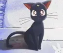 Neko