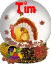 Thanksgiving Turkey Snowglobe (animated)- Tim
