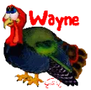 Thanksgiving Talking Turkey (animated)- Wayne