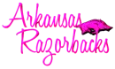 arkansas razorbacks