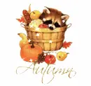 Raccoon in Basket (with sparkles)- Autumn
