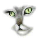 WHITE CAT