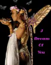 FAIRY-I DREAM OF YOU