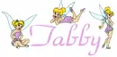 tabby