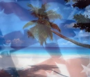 American Beach