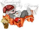 Goodnight My Friend
