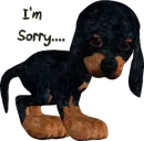 I'm Sorry