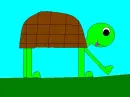 turtle walking