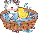 Kitty in bath