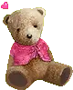 TEDDY BEAR 