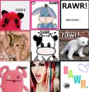 Cute RawrNess RaWr