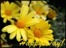 happy day!