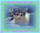 Glenda