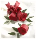 red roses