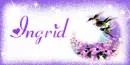 hummingbirds