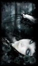 Gothic