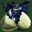 Dragonet