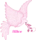 ALICE-PINK DOVE
