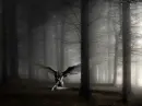 Angel of gothic