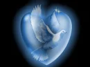 love bird