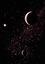 Cosmos