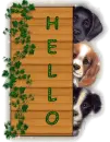 hello!