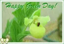 happy green day!