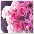 pink&purple