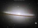 Cosmos