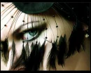 Feathery Temptation