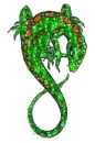 Lizard