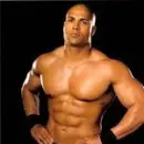 wwe maven2