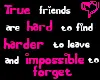 True Friends