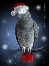 New Year