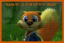 squirell