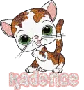 Kadence