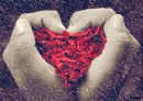 AMOR
