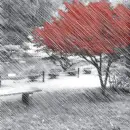 LLUVIA